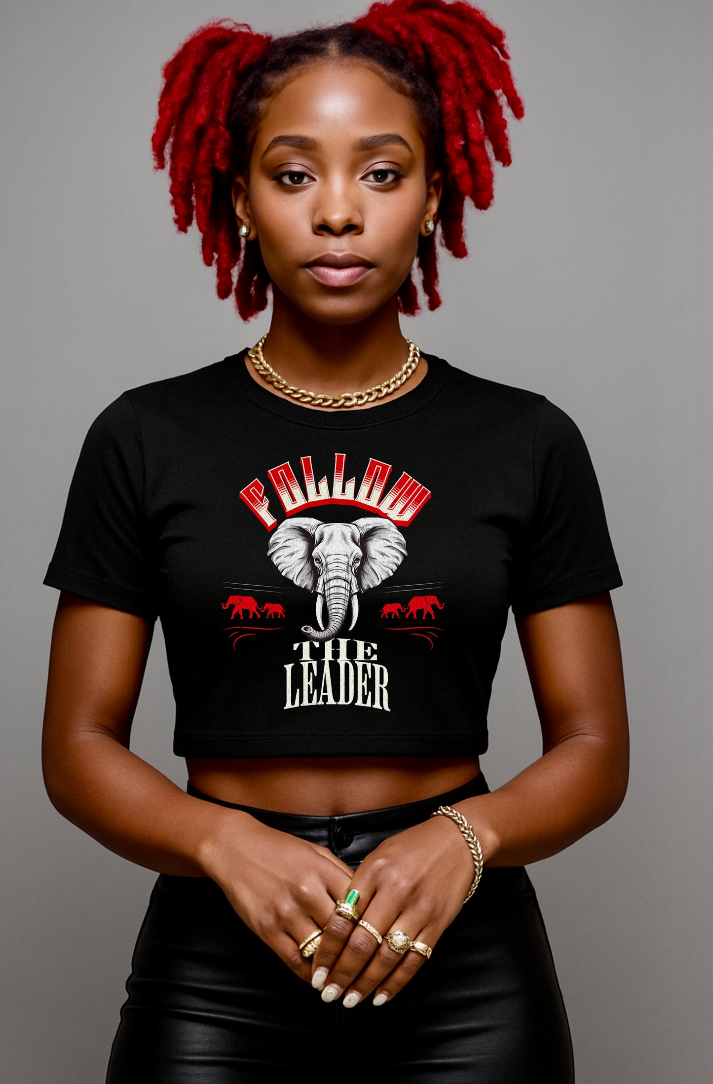 Follow The Leader - Crop Tee for the Ladies of DST