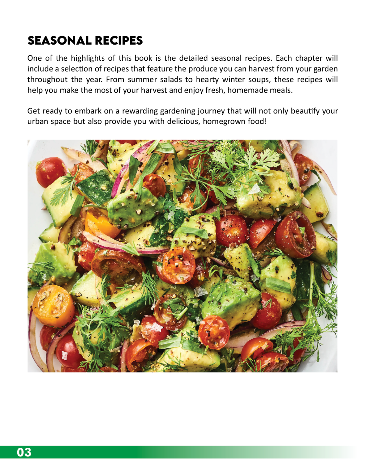 The Urban Harvest: An EBook Guide to Urban Container Gardening| Growing|Harvesting your own food|Recipes Included