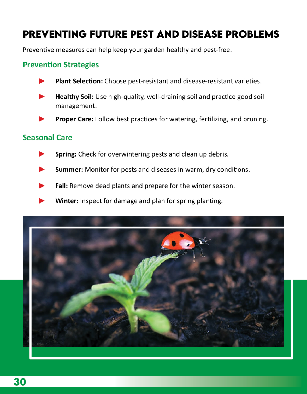 The Urban Harvest: An EBook Guide to Urban Container Gardening| Growing|Harvesting your own food|Recipes Included